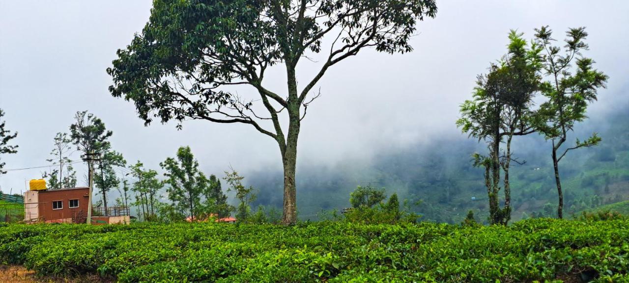 Ghar - Homestay, Where Family Lives Together Aravankadu Bagian luar foto