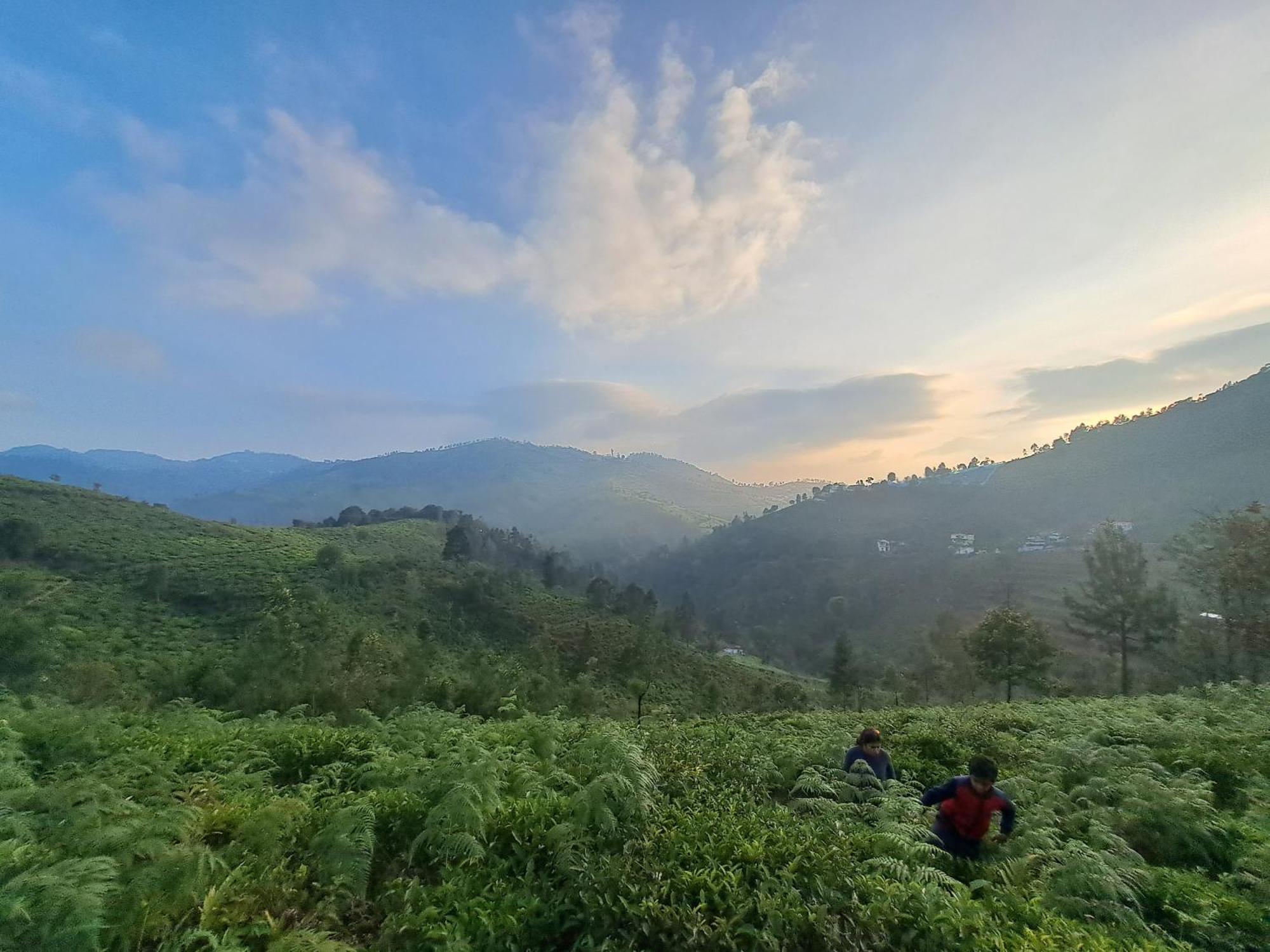 Ghar - Homestay, Where Family Lives Together Aravankadu Bagian luar foto