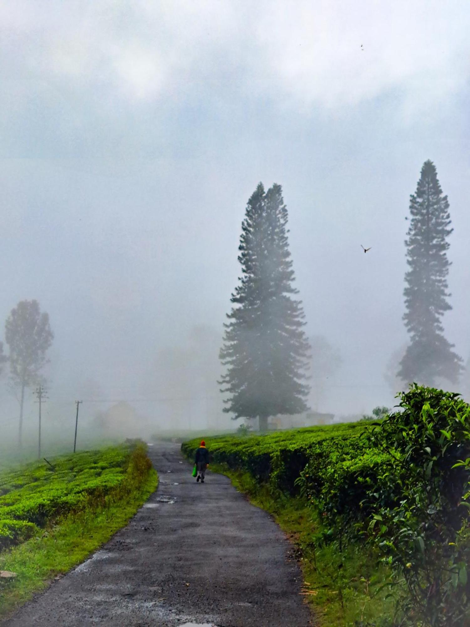 Ghar - Homestay, Where Family Lives Together Aravankadu Bagian luar foto
