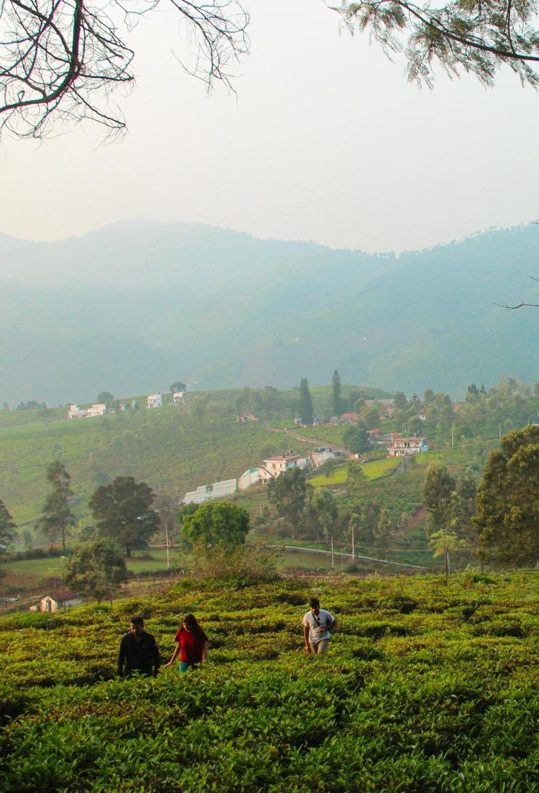 Ghar - Homestay, Where Family Lives Together Aravankadu Bagian luar foto