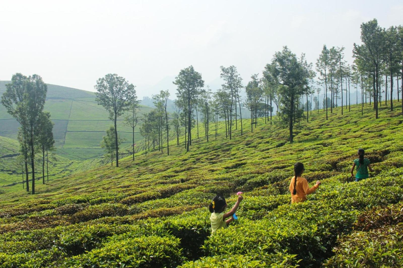Ghar - Homestay, Where Family Lives Together Aravankadu Bagian luar foto