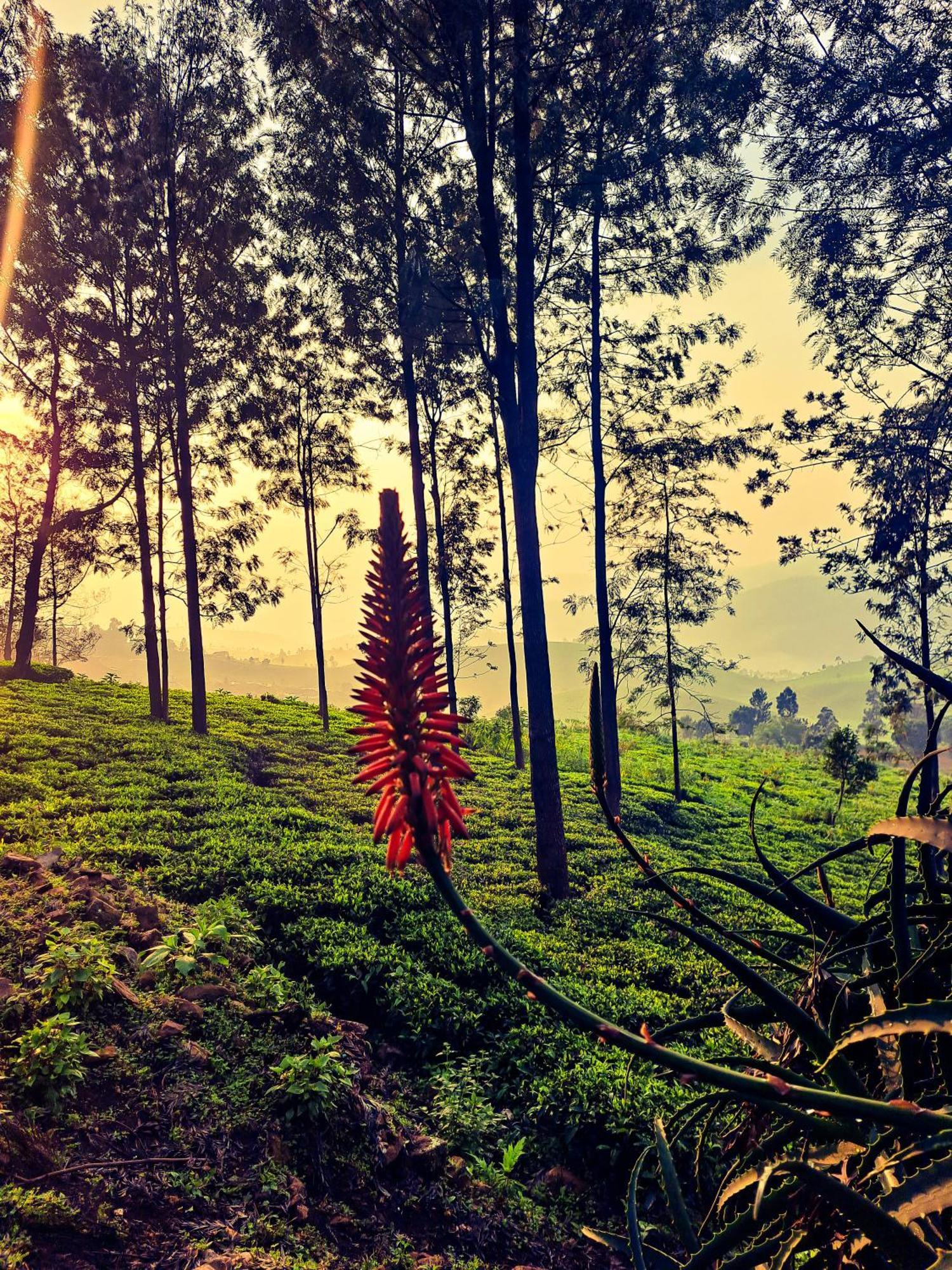 Ghar - Homestay, Where Family Lives Together Aravankadu Bagian luar foto